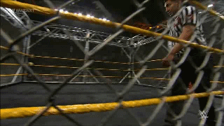 [IMAGE:https://4.bp.blogspot.com/-zXR5D57-2sM/WJk5MPVioQI/AAAAAAAAwSE/JhCC7zVMJZUb7OM2dk1E7DyBpgEy9cKKACLcB/s1600/2.gif]