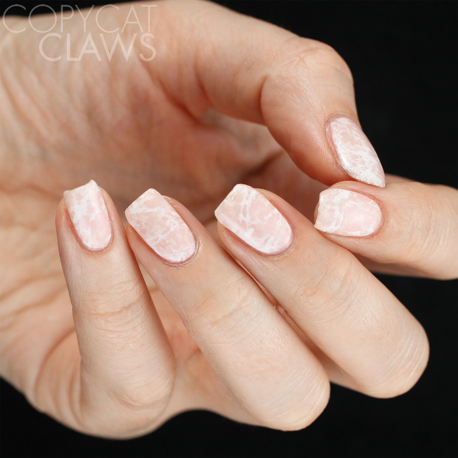 Copycat Claws The Digital Dozen does Birthdays June 2017