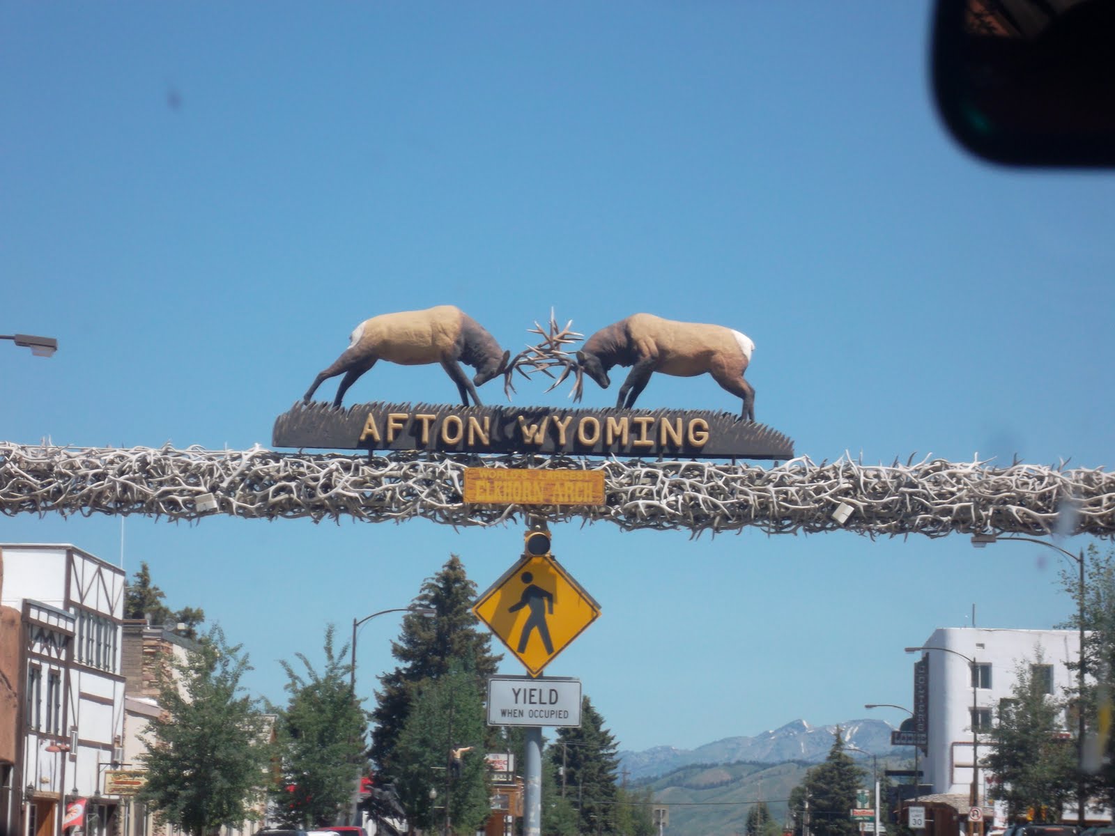 teton scout 55