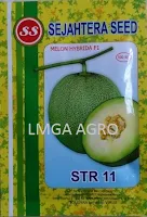 melon daging putih,melon f1 str 11,benih melon str 11,lmga agro,sejahtera seed