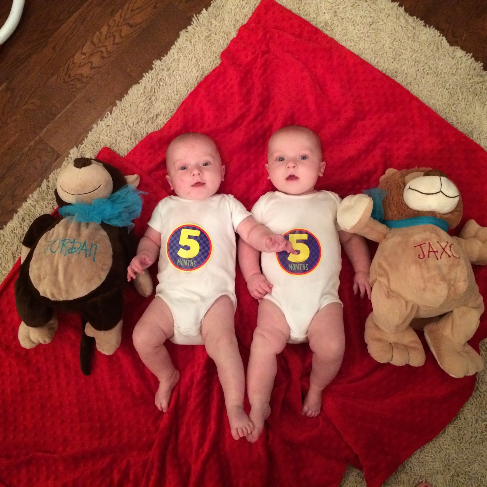 TWINS Twins 5 months