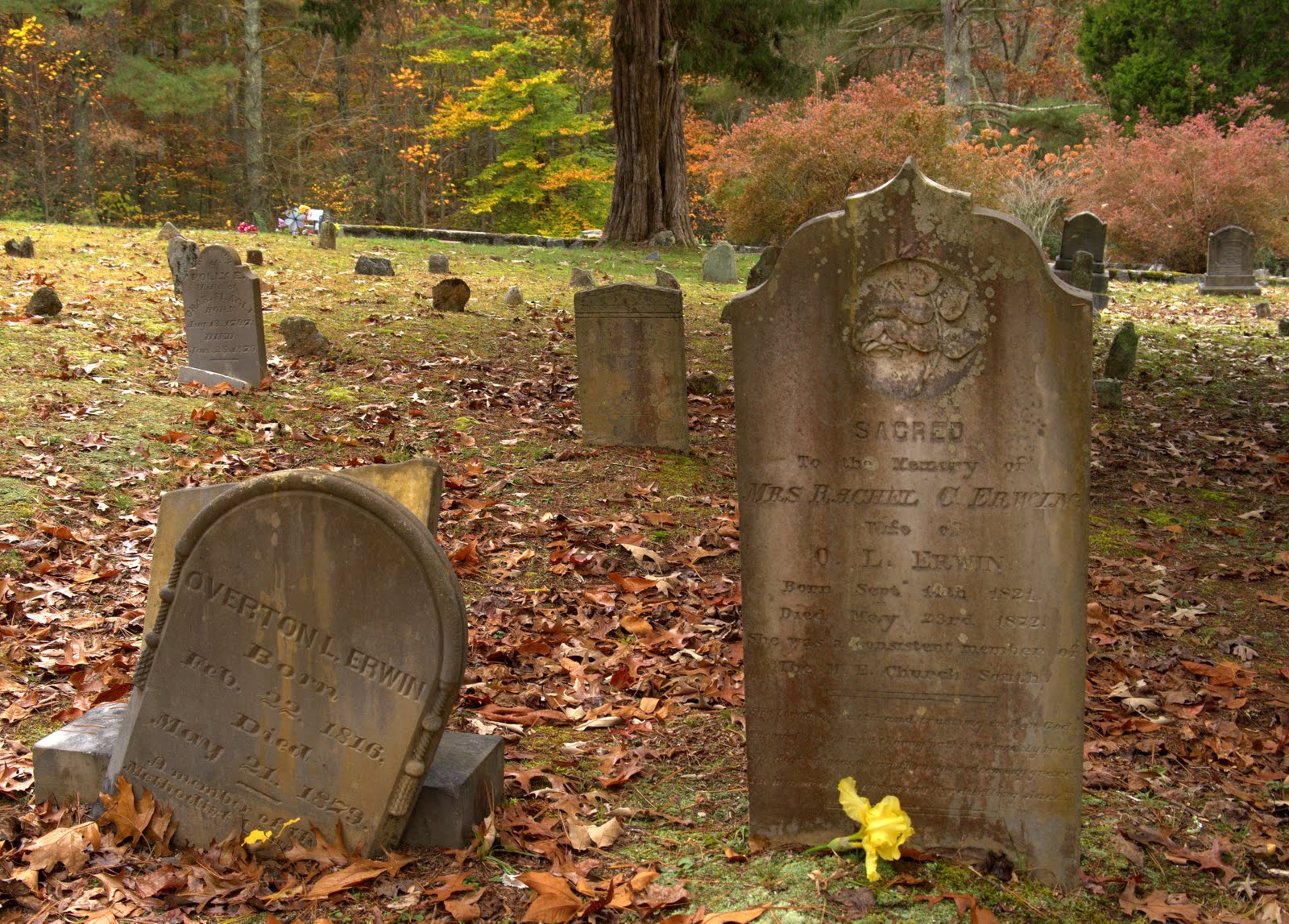 My postcard Piney Grove Cemetery