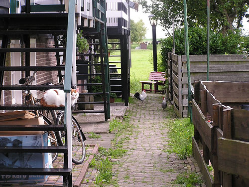 Marken Back Alley, by Jack on Flickr