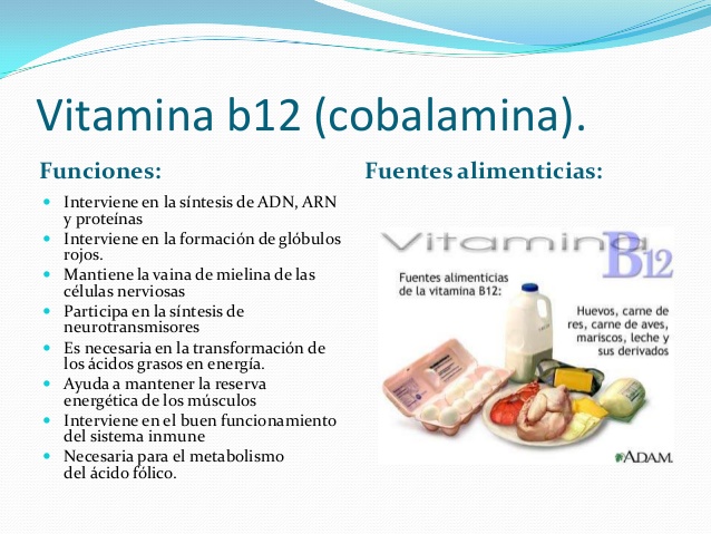 vitamina b12 orina roja