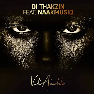 Dj Thakzin Feat. NaakMusiQ – Vul’amehlo