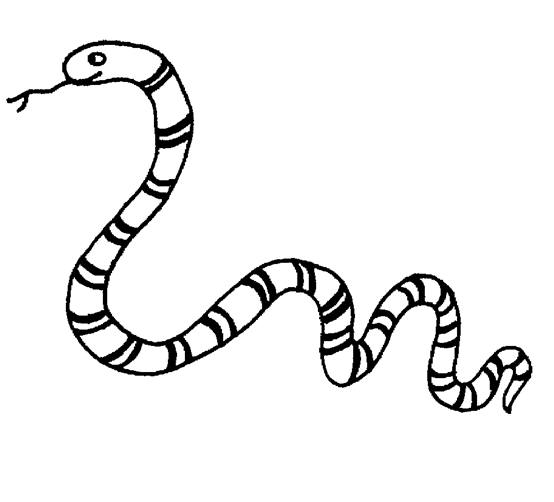 zoo snake coloring pages - photo #2