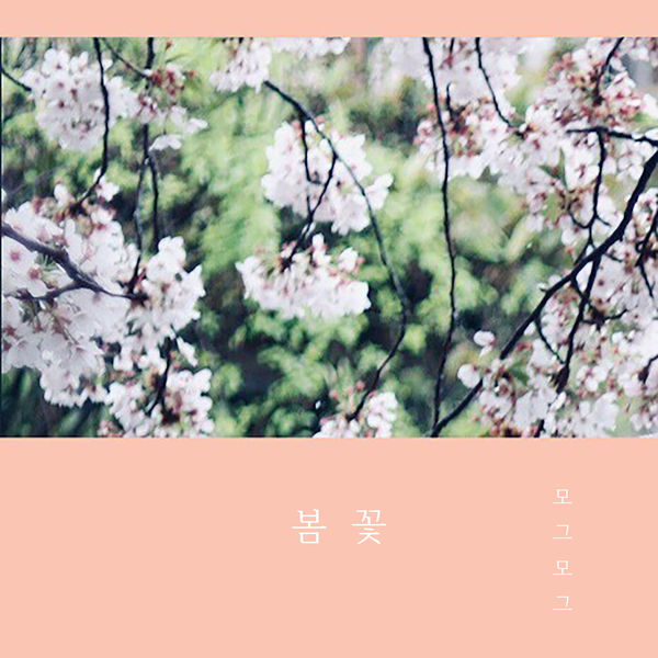 Mogmog – Cherry Blossom – Single