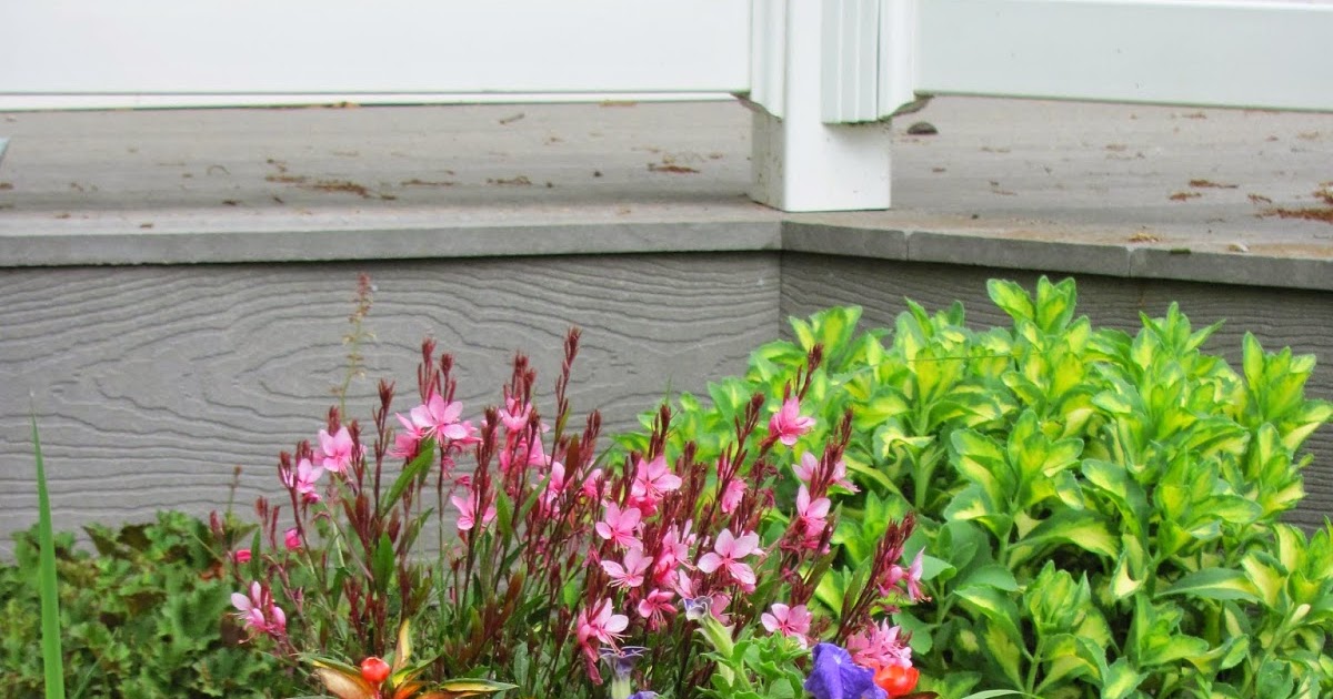 Does Everything Grow Better in My Neighbor's Yard?: ABC Wednesday - J