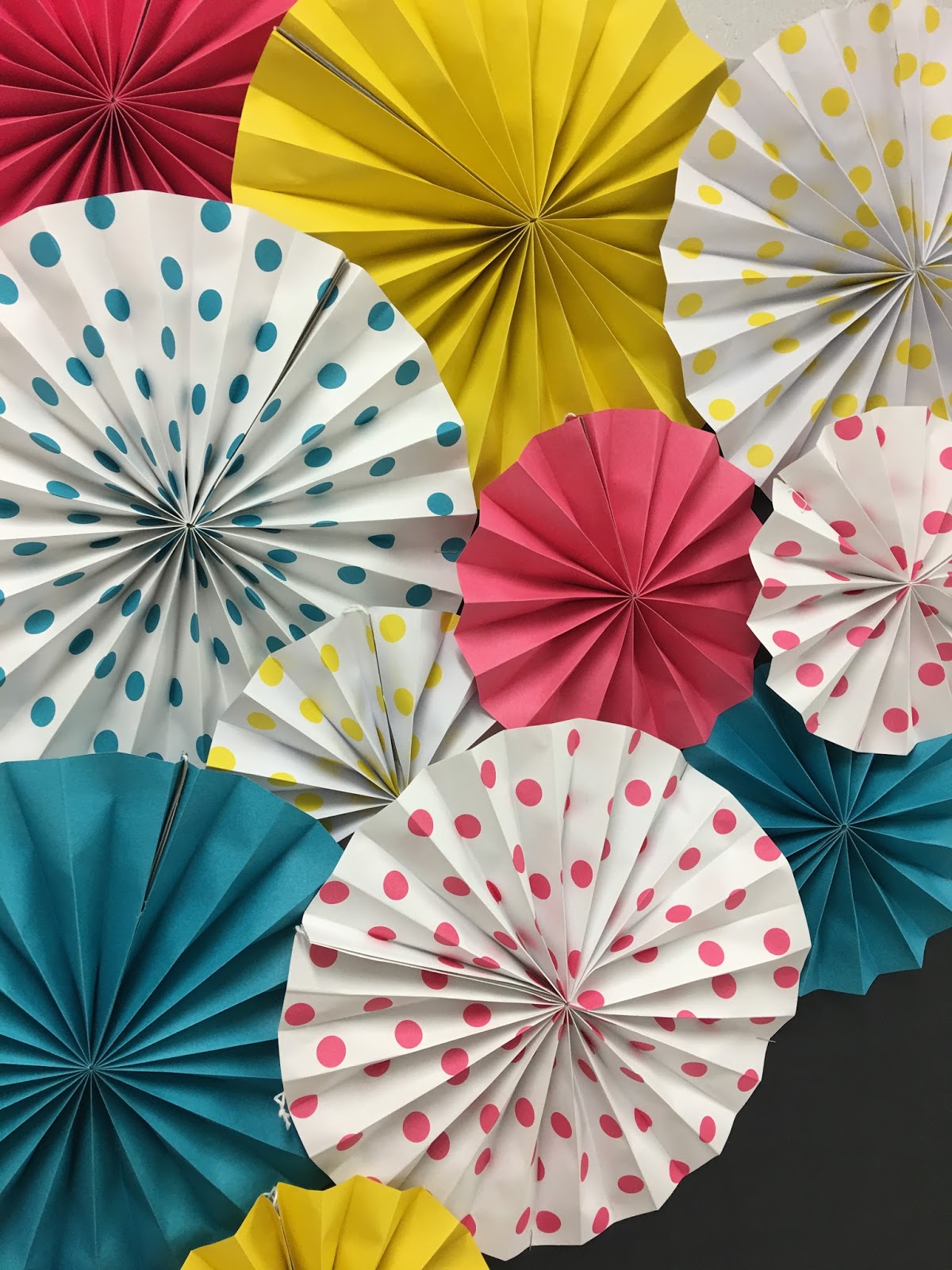 Back to School Bulletin Board and New Rooted in Reading Product Queen