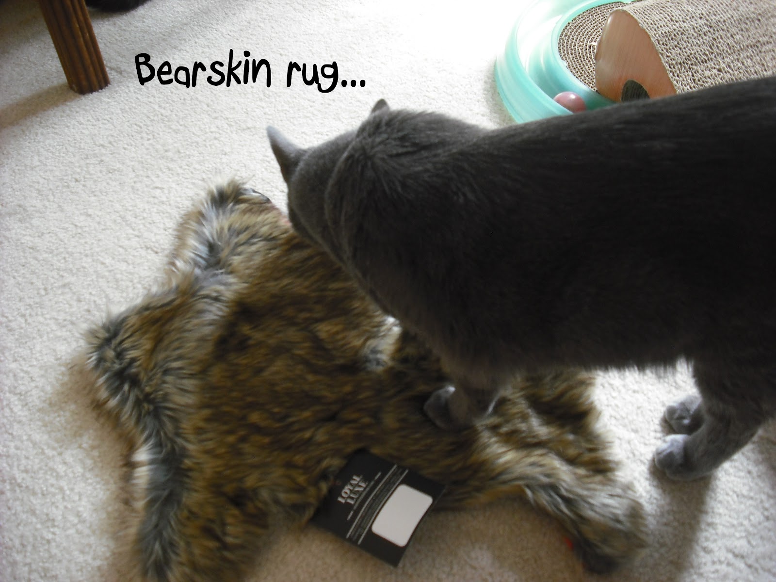 Gorogoro & Nikoniko: Faux Bearskin Rug