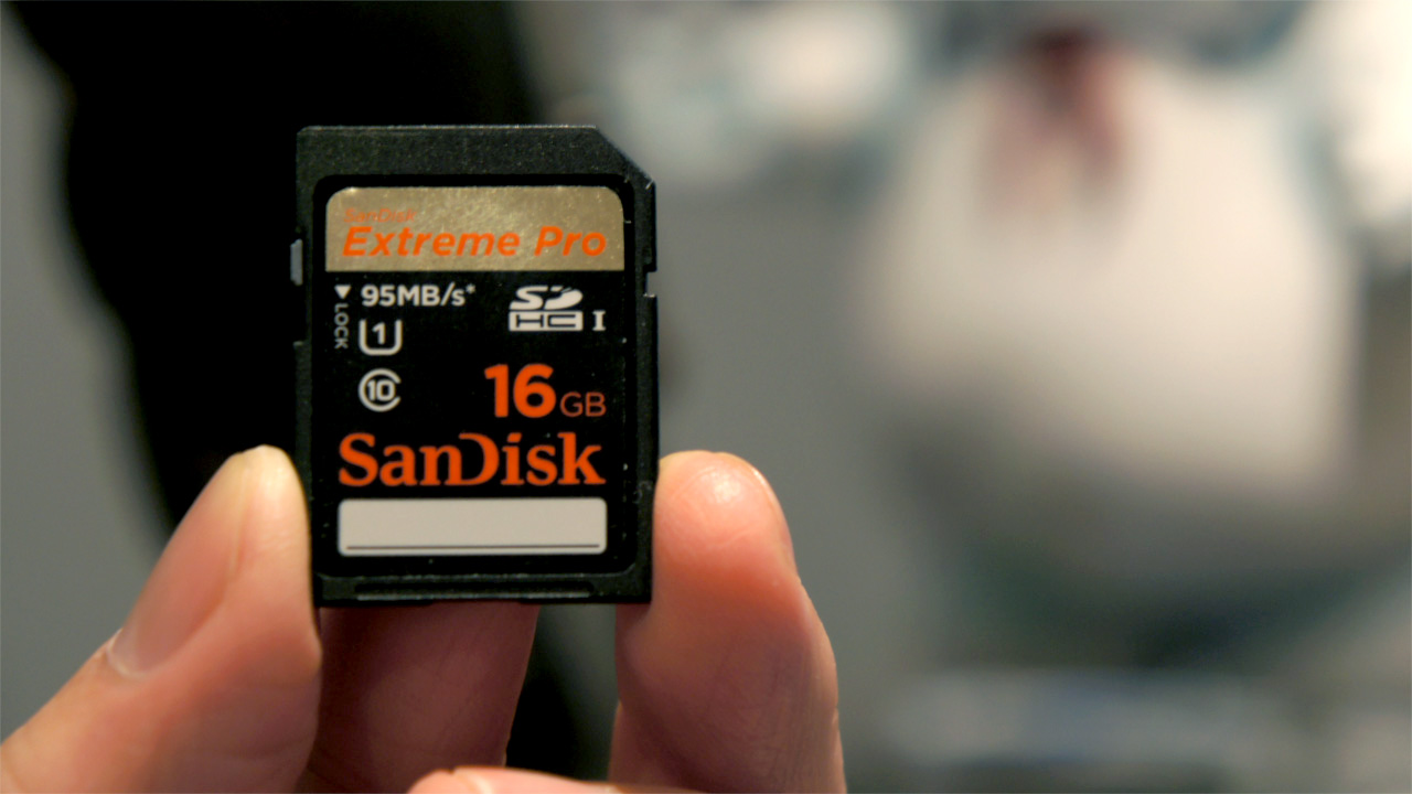 recover files from sd card free