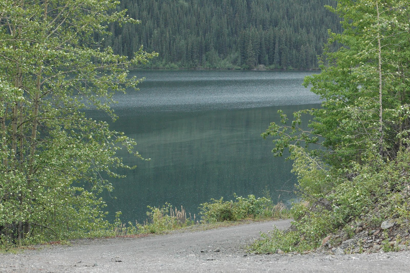 Wetmore Travels Whitehorse to Dease Lake BC