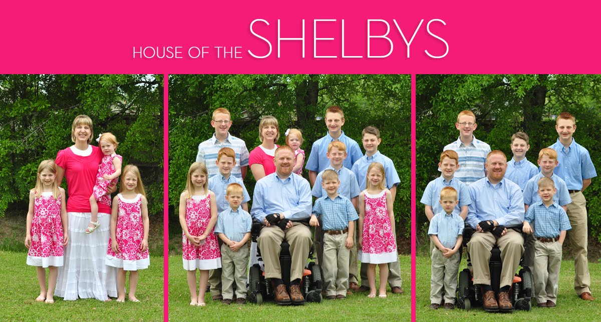 The Shelbys