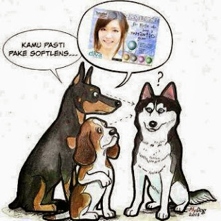 DP BBM lucu anjing DP BBM lucu anjing pake softlens