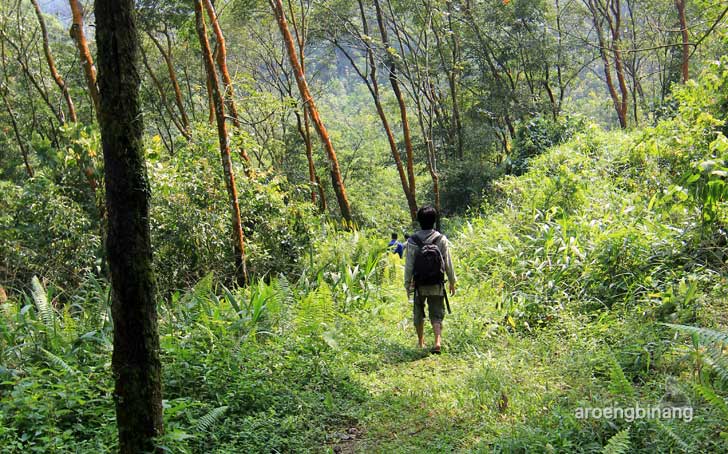 situs baron sekeber rogoselo pekalongan