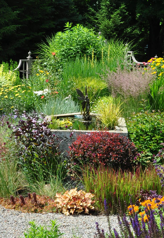 Three Dogs in a Garden Favourite Ornamental Grasses Part 1