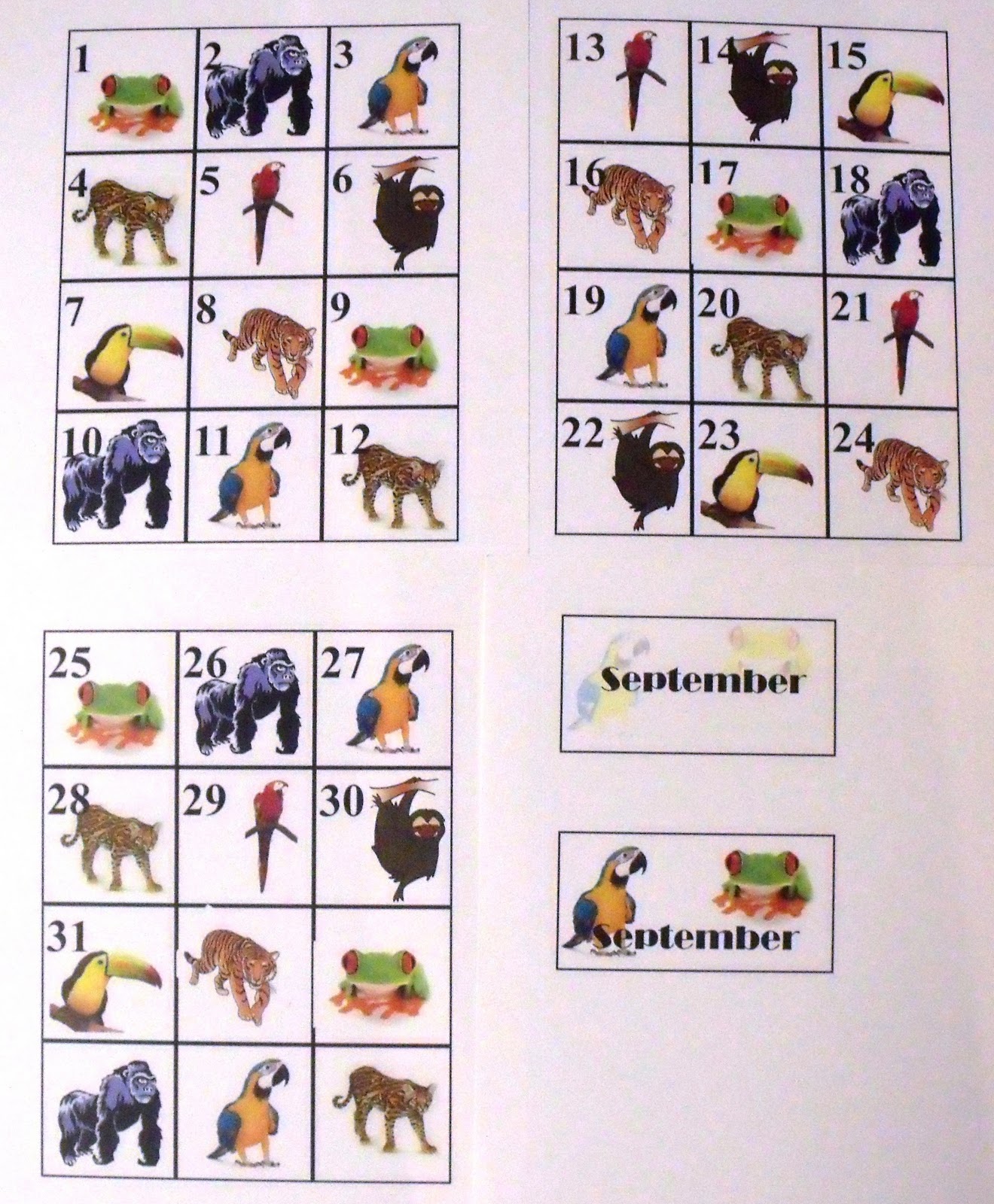 Nurturing Naters with learning activities at home: Rain forest Calendar