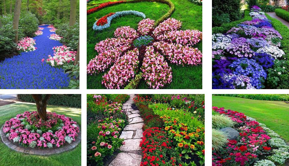 fascinating flower garden designs - Decor Units