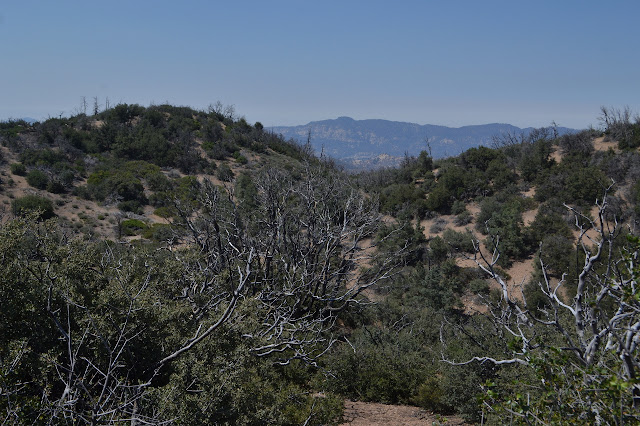 gentle top hills at the top of the gully