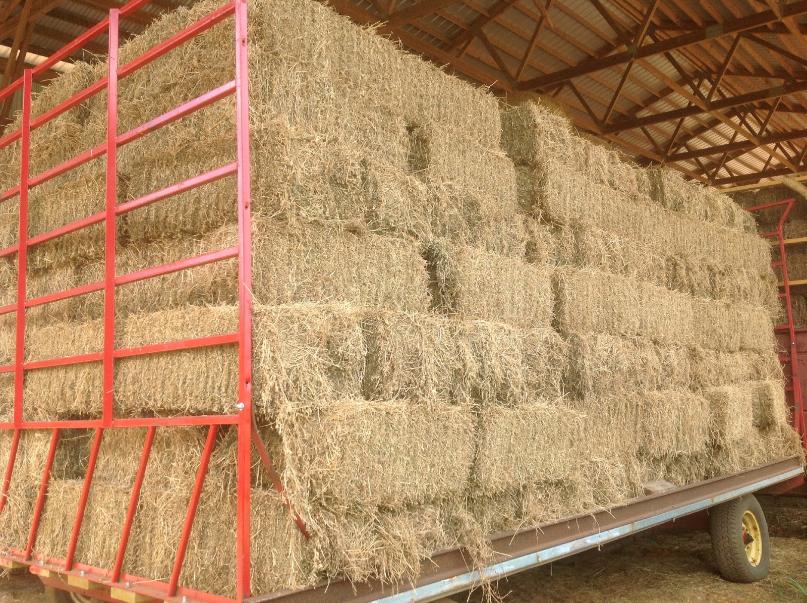 Hay for Sale in Virginia