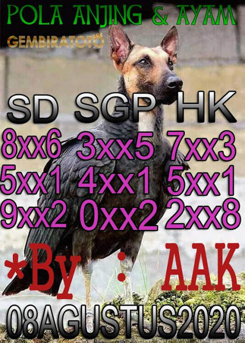 SYAIR HK ASIKTOTO
