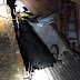 Depois de andar por ruas, touro cai sobre telhado de casa