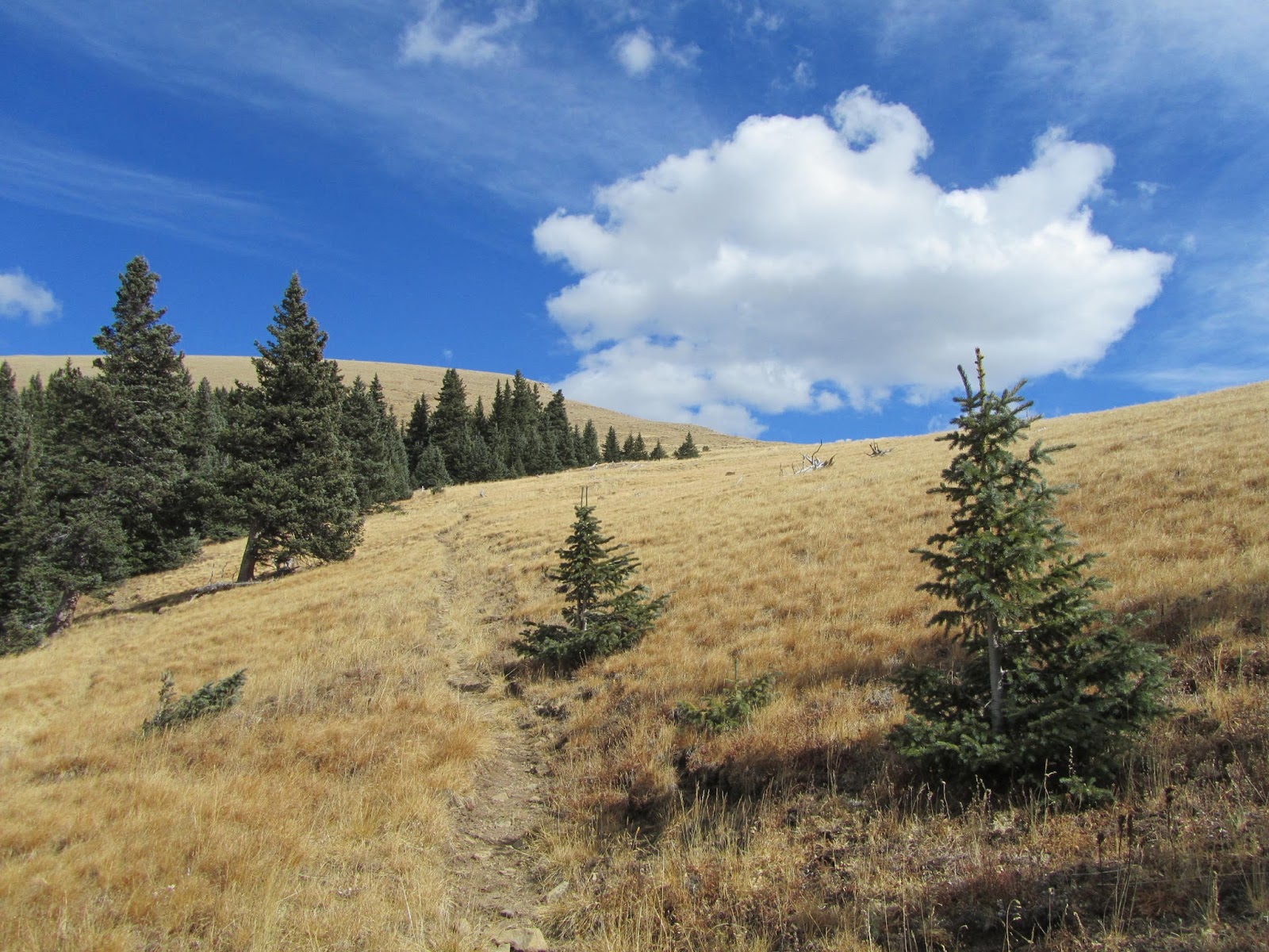 Tomcat's Outdoor Adventures Backpacking New Mexico's Pecos Wilderness