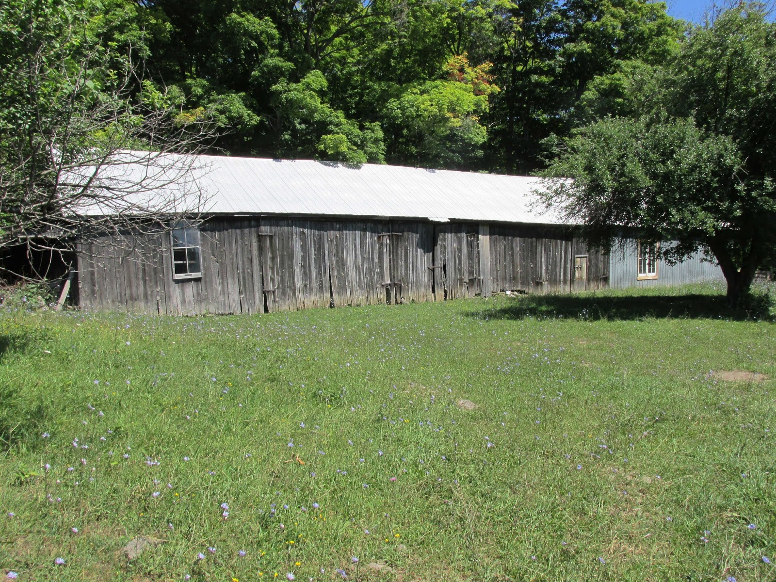 Jon Radojkovic Barn Repair