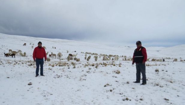 Minsa declaró en emergencia a 14 regiones por intenso frío Entre ellas se encuentra Cusco y regione