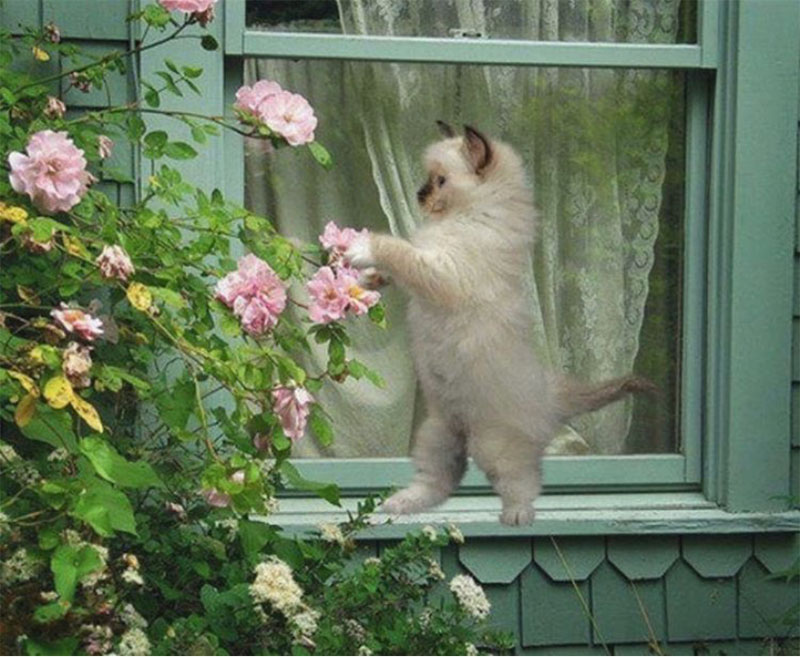 Décor Inspiration: Chic, Colourful Bohemian Style