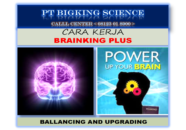 http://www.brain-king-plus.com/ http://www.brain-king-plus.com/
