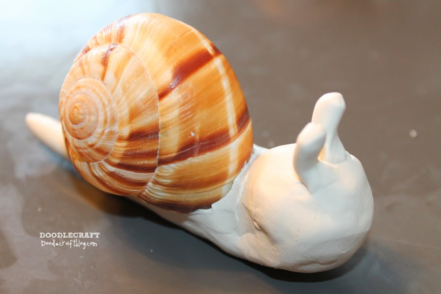 Colorful Garden Snails!