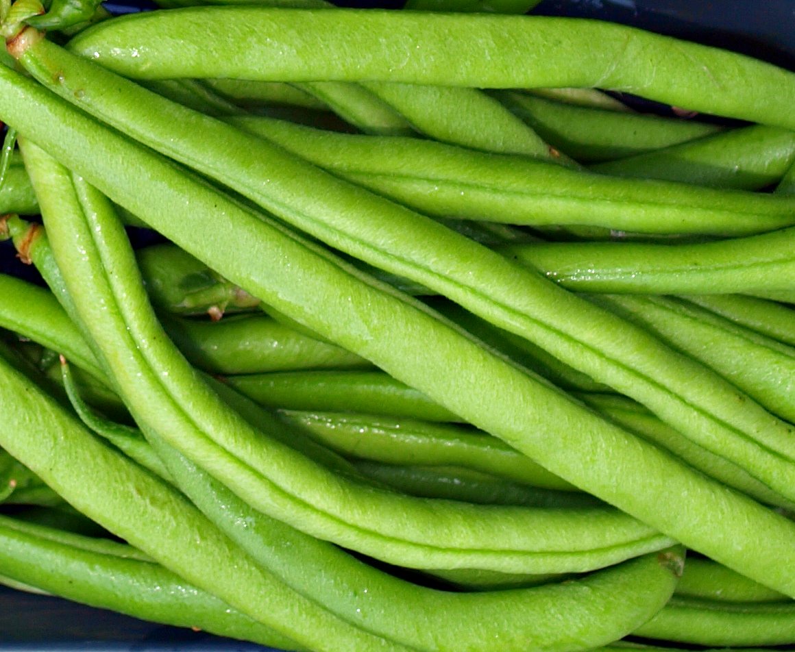 Mark #39 s Veg Plot: Beans beans and more beans
