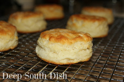 3 ingredient recipes biscuits buttermilk 3 ingredient recipes biscuits buttermilk