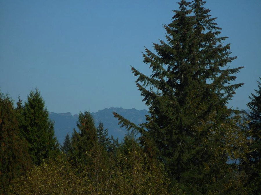 Ichijo Sammamish Townhomes Update