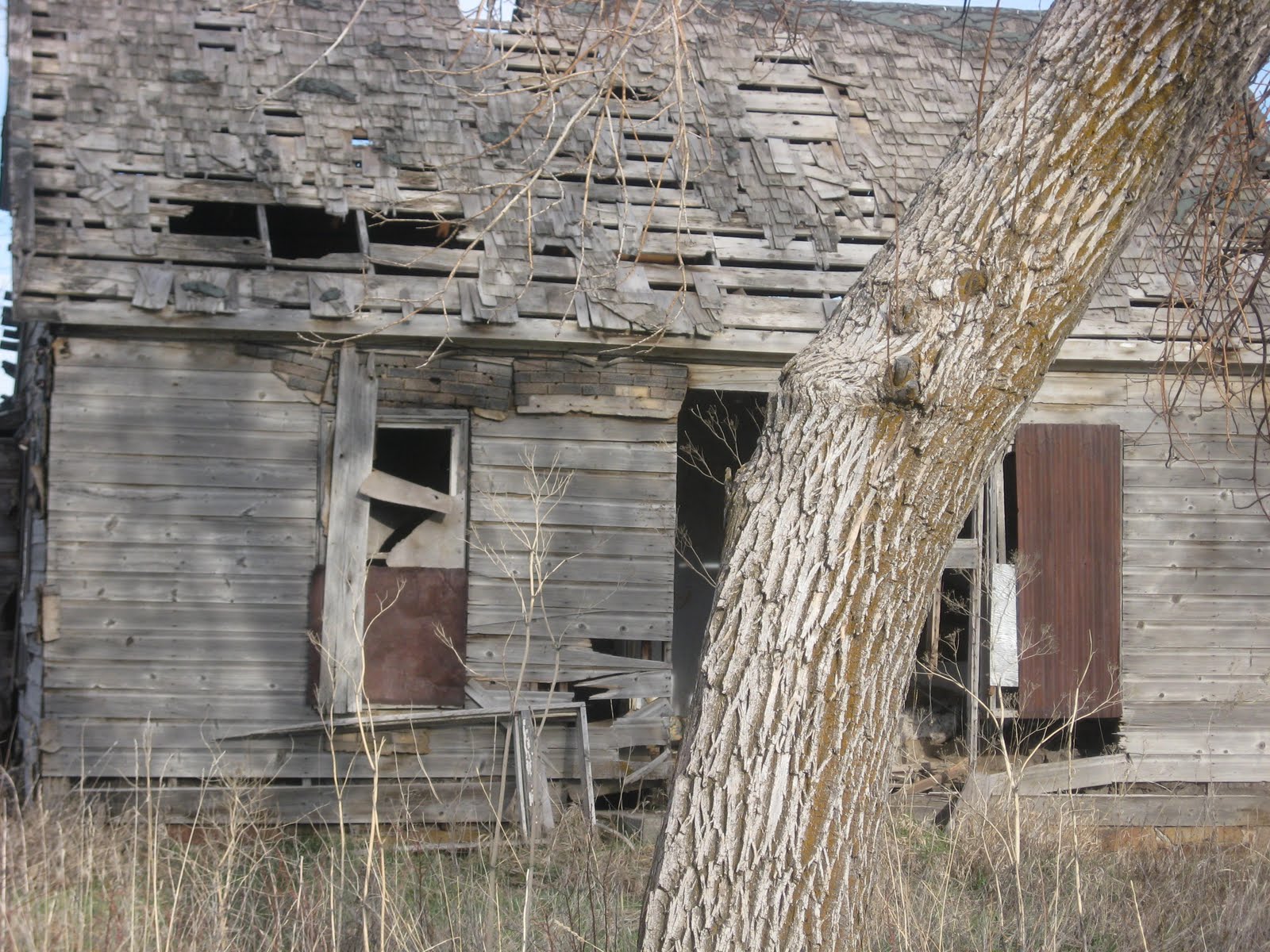 Shell's Photo Album Out and About in Garland Utah