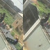 Policeman aiming to shoot at dog defending its owner (Video)