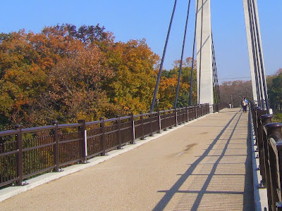 山田池公園 紅葉と美月橋
