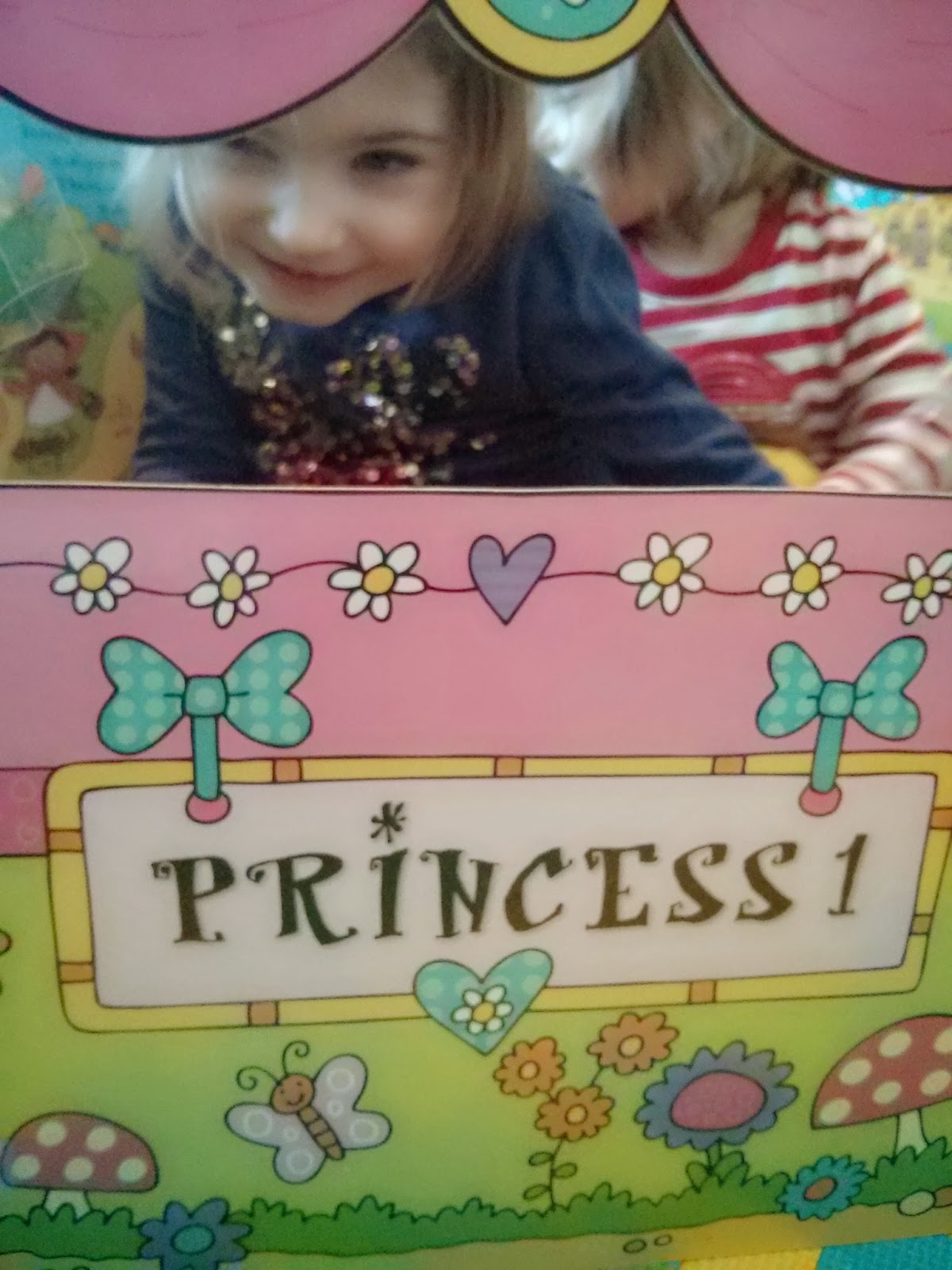 princess book