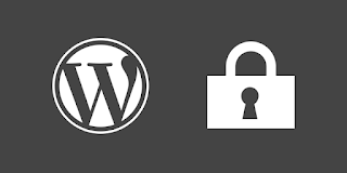 wordpress-guvenlik