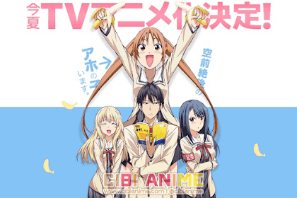 Sinopsis Aho Girl (2017)