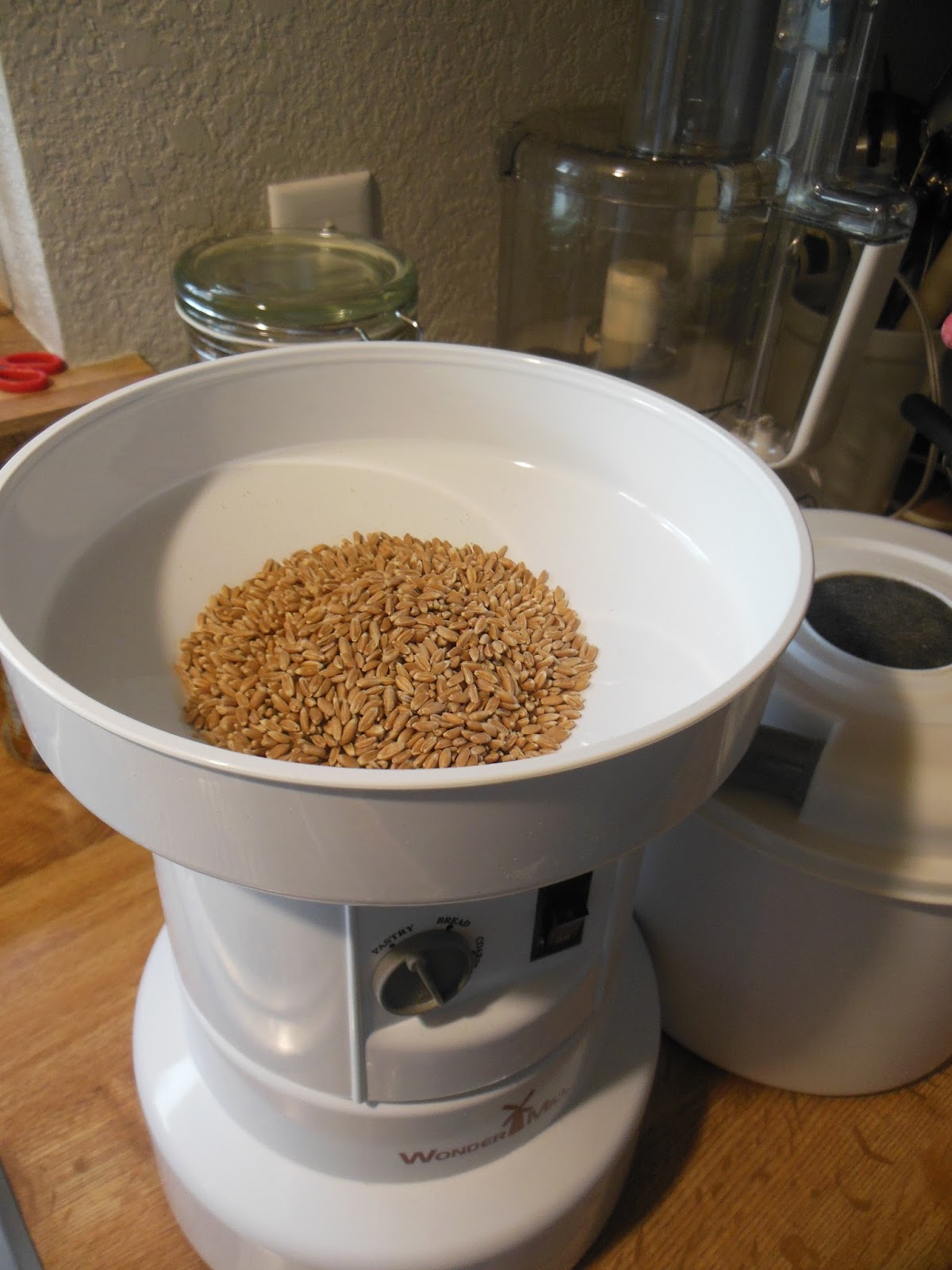 How to make Whole Wheat SelfRising flour, our tale about whole grain