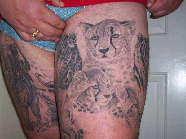 Stunning Big Cat Tattoo Designs For Men And Girls