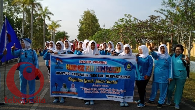 Peringatan HUT Ke XIII HIMPAUDI Tebo Berlangsung Sukses