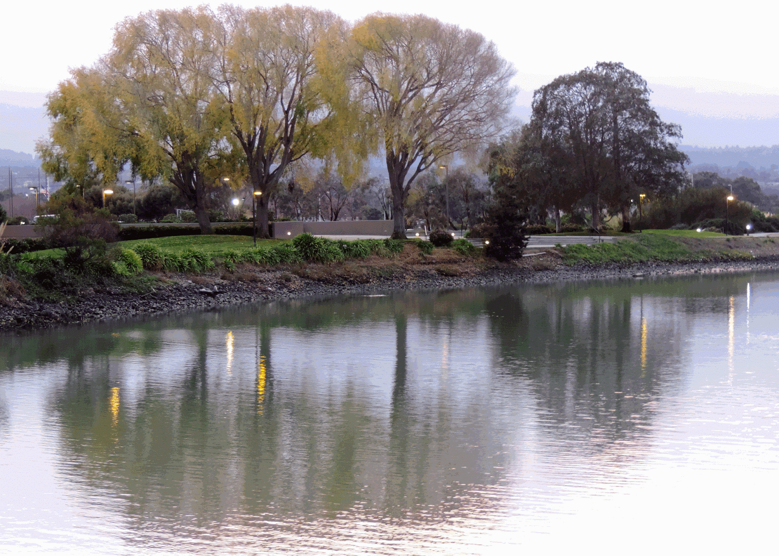 Eden By The Bay Legacy Trees in Burlingame