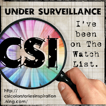 CSI #4