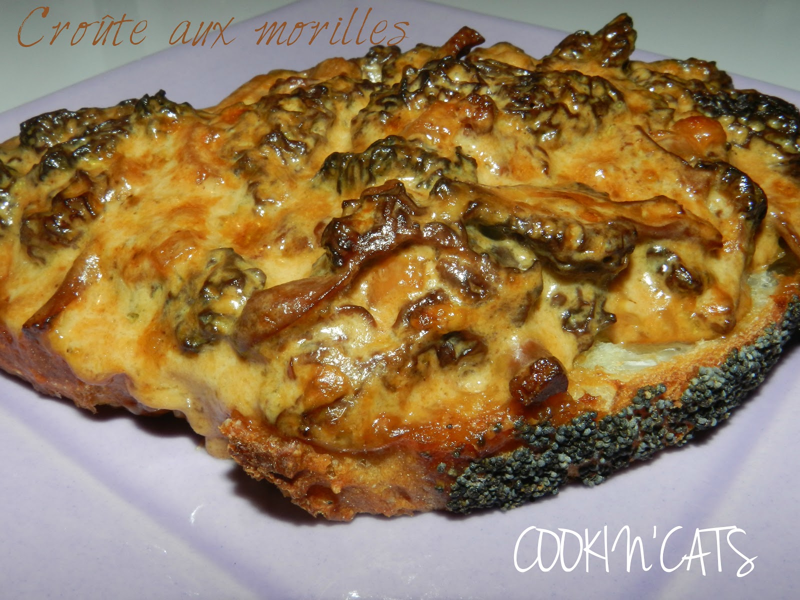 CROUTE AUX MORILLES