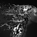 DEEP LEARNING A-Z™: HANDS-ON ARTIFICIAL NEURAL NETWORKS