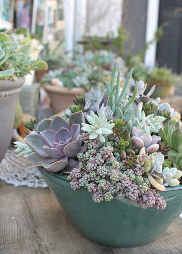 ciao! newport beach seaside gallery and goods