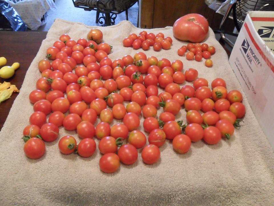 Southern With A Twist Homemade Tomato Sauce